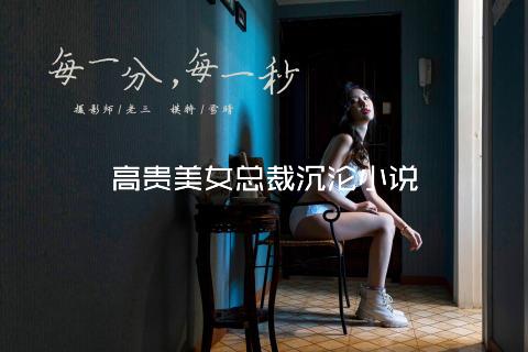 高贵美女总裁沉沦小说